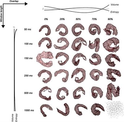 Biased instantaneous regional muscle activation maps: Embedded fuzzy topology and image feature analysis